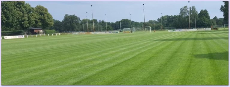 sportplatz-1-1-768x292